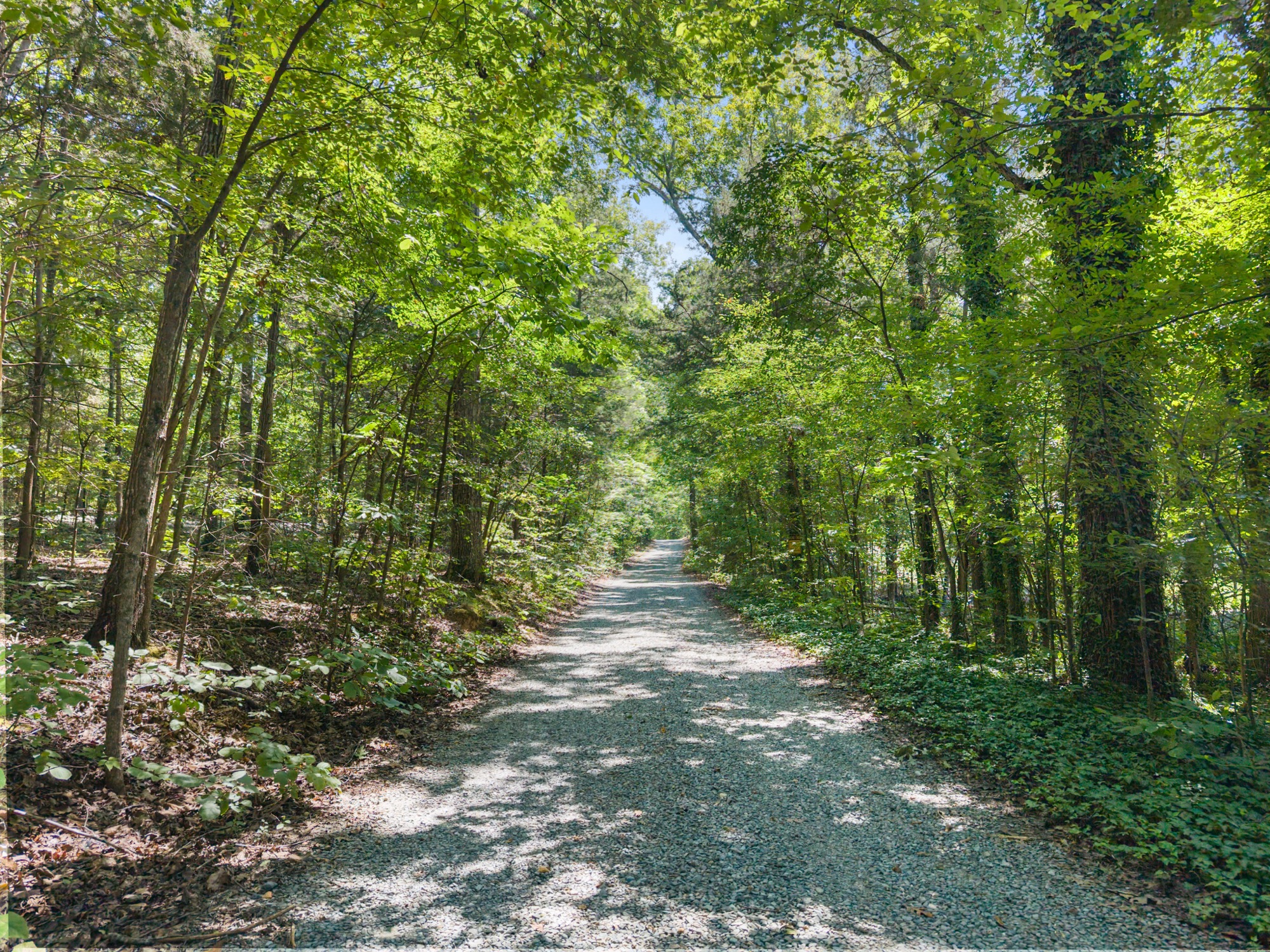 Aerial view of the gravel drive running back under a continuous tree canopy