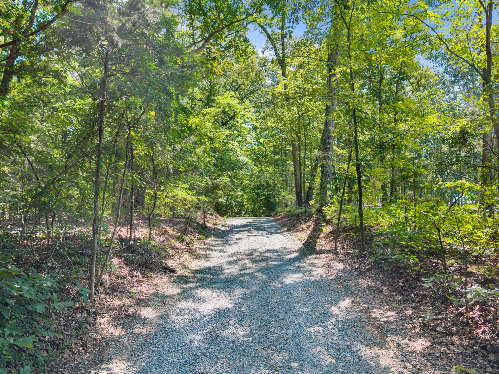 Aerial view of the drive curving under the tree canopy toward the residence